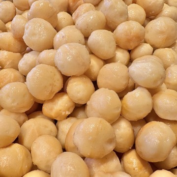 Macadamia 1